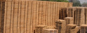 Pallet Yard